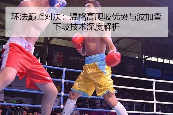 环法巅峰对决：温格高爬坡优势与波加查下坡技术深度解析